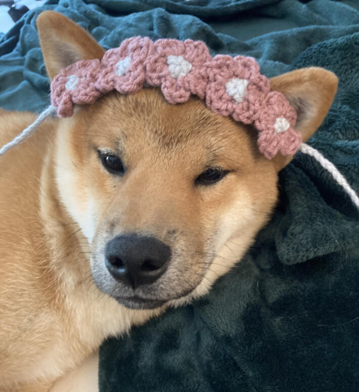 Flower Crown