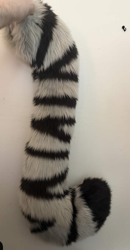 Gray Tiger Tail