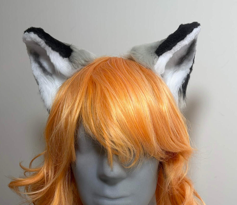Matching Tiger Ears